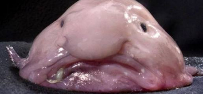 William Corgan does not want to be called ‘Billy’ anymore William Corgan does not want to be called ‘Billy’ anymore