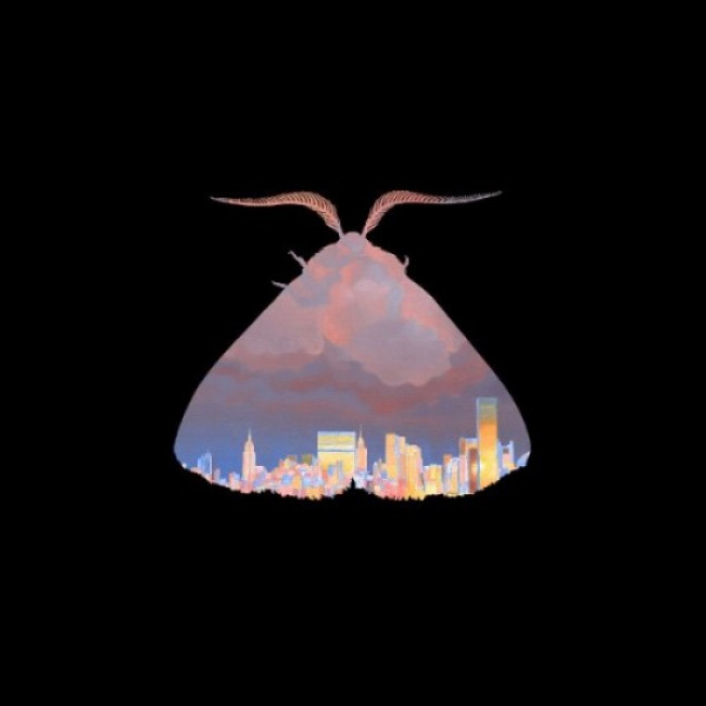 Chairlift – Moth (Columbia)