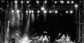 The Specials @ Melbourne Zoo, 11.03.2017