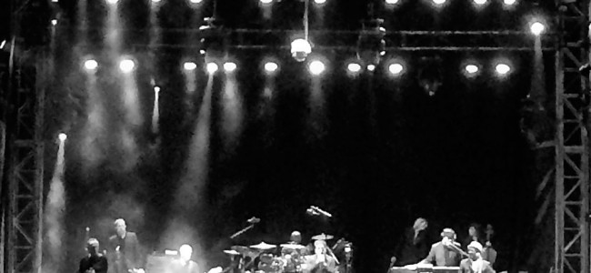 The Specials @ Melbourne Zoo, 11.03.2017 The Specials @ Melbourne Zoo, 11.03.2017