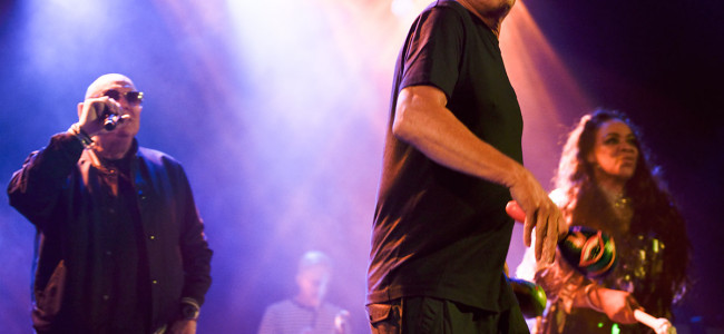 In Photos: Happy Mondays + Greenhouse @ The Tivoli, Brisbane, 19.10.2023