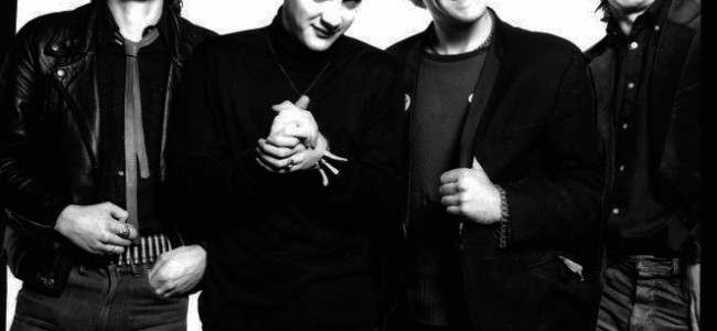 The Collapse Board Interview: Rat Scabies (The Damned) The Collapse Board Interview: Rat Scabies (The Damned)