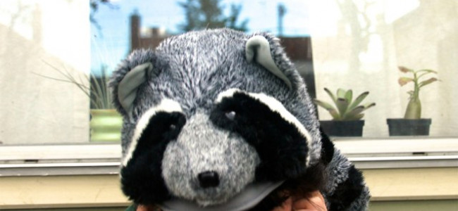 Song of the day – 591: Alyx Dennison Song of the day – 591: Alyx Dennison