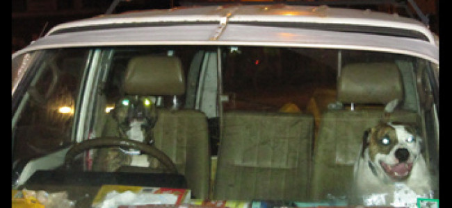 Song of the day – 599: Secret Valley Song of the day – 599: Secret Valley