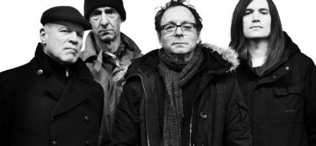 The Collapse Board Interview | Wire The Collapse Board Interview | Wire