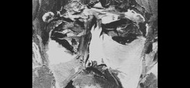 White Fence – For The Recently Found Innocent (Drag City) White Fence – For The Recently Found Innocent (Drag City)