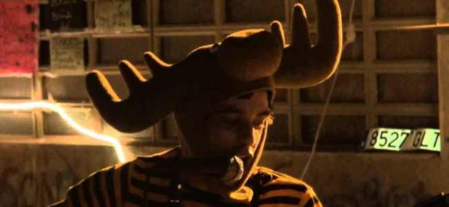 The return of Everett True | 52. Los Animalitos Del Bosque The return of Everett True | 52. Los Animalitos Del Bosque