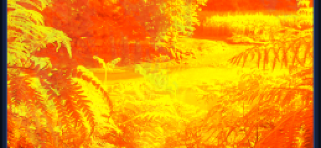 Emily Jones – Autumn Eye (Owltextures) Emily Jones – Autumn Eye (Owltextures)