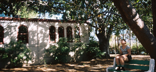 SOTD #709 – Try The Pie SOTD #709 – Try The Pie